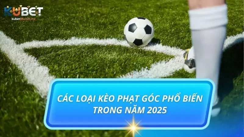 Điểm danh các loại kèo cược siêu phổ biến tại thương hiệu uy tín