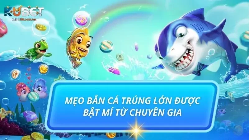 Những mẹo này chắc chắn hữu ích trong quá trình săn boss