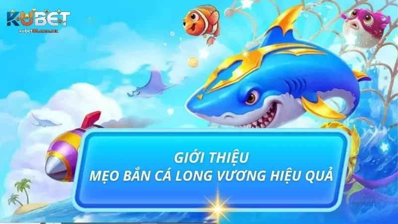 Bật mí top 3 mẹo săn cá cực chất cho người chơi năm 2025