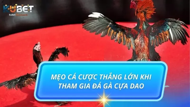 Người tham gia khi đã nắm được mẹo thì việc thắng lớn đã không còn xa