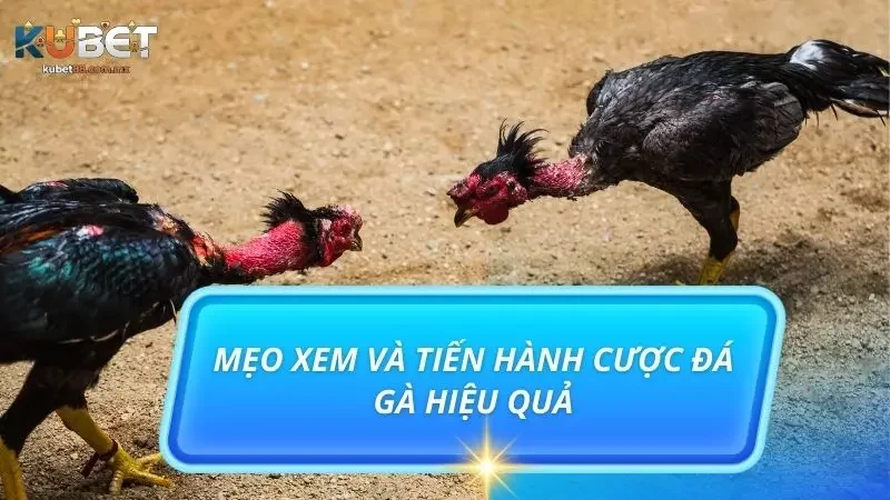 Khám phá top các mẹo chơi siêu hay từ người chơi lâu năm